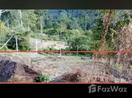 ขายที่ดิน ใน เกาะช้าง, ตราด, เกาะช้าง, เกาะช้าง