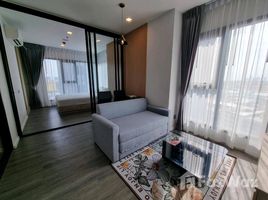 อพาร์ทเม้นท์ 2 ห้องนอน ให้เช่า ในโครงการ โมดิซ สุขุมวิท 50, พระโขนง, คลองเตย, กรุงเทพมหานคร, ไทย