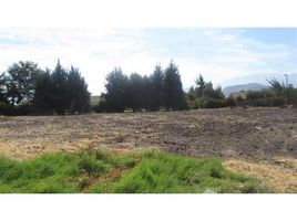  Terreno (Parcela) en venta en Colina, Colina