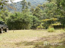  Terreno (Parcela) en venta en Mora, San José, Mora