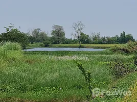  Land for sale in Chiang Rai, Huai Sak, Mueang Chiang Rai, Chiang Rai