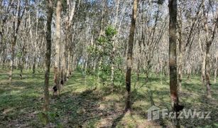 N/A Land for sale in Tha Chang, Songkhla 