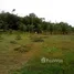  Land for sale in Amazonas, Rio Preto Da Eva, Amazonas