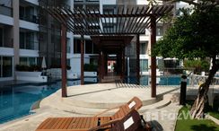 Photo 2 of the Communal Garden Area at Tira Tiraa Condominium