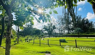 1 Schlafzimmer Wohnung zu verkaufen in Choeng Thale, Phuket Sky Park