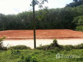 N/A Land for sale in Sakhu, Phuket Land For Sale At Naithon Beach