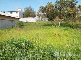  Земельный участок for sale in Сан-Паулу, Pesquisar, Bertioga, Сан-Паулу