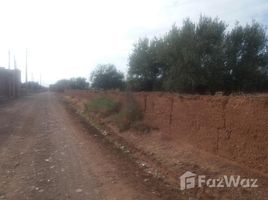 N/A Land for sale in Na Marrakech Medina, Marrakech Tensift Al Haouz terrain titré 2 hectares route ourika avec bon prix