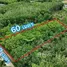  Земельный участок for sale in Taphong, Районг, Taphong, Мыанг Районг, Районг