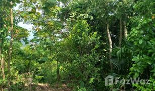 N/A Land for sale in Lo Yung, Phangnga 