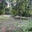  Land for sale in Mueang Chanthaburi, Chanthaburi, Khlong Narai, Mueang Chanthaburi