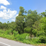  Land for sale in Thailand, Pak Ro, Singhanakhon, Songkhla, Thailand