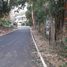  Land for sale in Mueang Chiang Mai, Chiang Mai, Chang Phueak, Mueang Chiang Mai