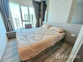 1 Bedroom Condo for rent at Regent Home Bangna, Bang Na, Bang Na