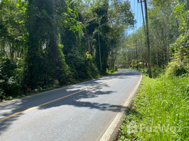  Land for sale in Choeng Thale, Thalang, Choeng Thale