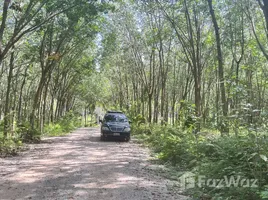 ขายที่ดิน ใน ขนอม, นครศรีธรรมราช, ขนอม, ขนอม, นครศรีธรรมราช, ไทย