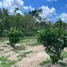  Terreno for sale in Amazonas, Presidente Figueiredo, Presidente Figueiredo, Amazonas