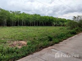  Terrain for sale in Songkhla, Phatong, Hat Yai, Songkhla