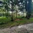  Land for sale in Pesisir Tengah, Lampung Barat, Pesisir Tengah