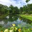  Land for sale in Kanchanaburi, Lin Thin, Thong Pha Phum, Kanchanaburi