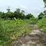  Land for sale in Thailand, Khlong Hok, Khlong Luang, Pathum Thani, Thailand