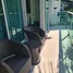 2 Bedroom Condo for sale at Laguna Heights, Na Kluea, Pattaya