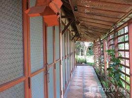 7 Bedrooms House for sale in Pa Daet, Chiang Mai Baan San Phi Sue