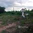  Terreno (Parcela) en venta en Lamphun, Tha Thung Luang, Mae Tha, Lamphun