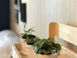 Студия Кондо на продажу в Plum Condo Phaholyothin 89, Pracha Thipat, Thanyaburi