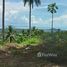  Grundstück zu verkaufen in Koh Samui, Surat Thani, Lipa Noi