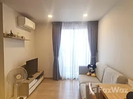 1 Schlafzimmer Wohnung zu verkaufen im Cocoon Rama 9, Suan Luang, Suan Luang, Bangkok, Thailand