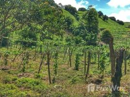 Cartago 1 Hectare Land for Sale in Cartago N/A 土地 售 