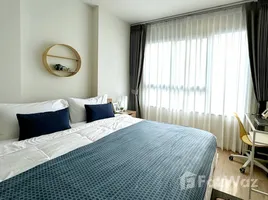 อพาร์ทเม้นท์ 1 ห้องนอน ให้เช่า ในโครงการ กรรณิกา สวีท, ลุมพินี, ปทุมวัน