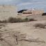 在Chiclayo, Lambayeque出售的 土地, Pimentel, Chiclayo
