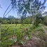  Land for sale in Costa Rica, Guacimo, Limon, Costa Rica