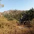  Grundstück zu verkaufen in Are Guling, Lombok, Are Guling
