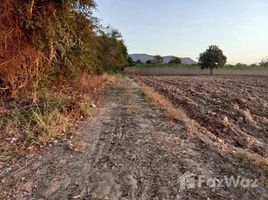  Land for sale in Nakhon Ratchasima, Thailand, Thai Samakkhi, Wang Nam Khiao, Nakhon Ratchasima, Thailand