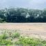  Land for sale in Ban Na Nakhon Nayok, Bang O, Ban Na