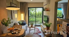 ยูนิตมือสองและให้เช่า