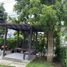 Siwalee Meechok에서 임대할 4 침실 주택, San Phisuea, Mueang Chiang Mai, 치앙마이