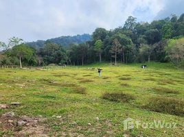  Terreno (Parcela) en venta en Pa Khlok, Thalang, Pa Khlok