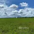  Terreno (Parcela) en venta en Pandawai, East Nusa Tenggara, Pandawai