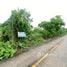  Land for sale in Sai Noi Nonthaburi, Sai Noi, Nonthaburi