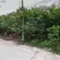 Land for sale in Don Kai Di, Samut Sakhon, Don Kai Di