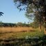  Land for sale in San Sai, Chiang Mai, Nong Han, San Sai