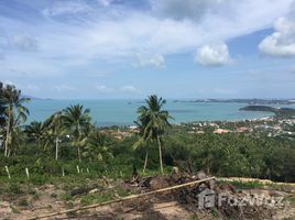 N/A Terrain a vendre à Bo Phut, Koh Samui Land 2 Rais Sea View for Sale in Bo Phut, Koh Samui 