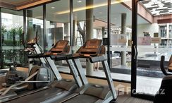 Photos 3 of the Communal Gym at D Condo Kathu-Patong