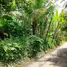  Grundstück zu verkaufen in Payangan, Bali, Payangan, Gianyar