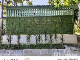 บ้านเดี่ยว 2 ห้องนอน ให้เช่า ในทำเล ห้วยทราย, เชียงใหม่, ห้วยทราย, แม่ริม