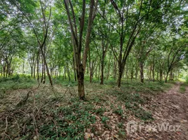 ขายที่ดิน ใน ตลิ่งงาม, สุราษฎร์ธานี, ตลิ่งงาม